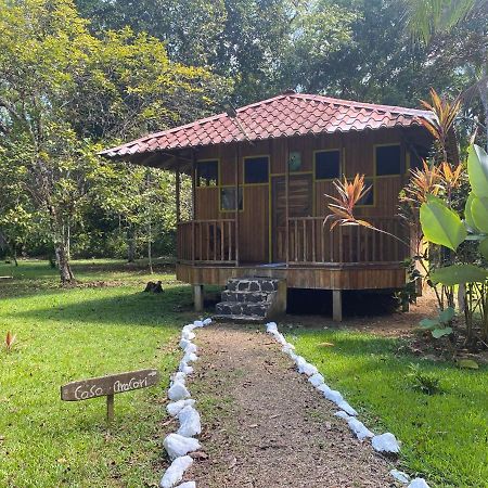 Sierpe Sabalo Lodge Tours And Cabins מראה חיצוני תמונה