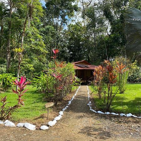 Sierpe Sabalo Lodge Tours And Cabins מראה חיצוני תמונה