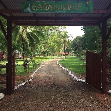 Sierpe Sabalo Lodge Tours And Cabins מראה חיצוני תמונה