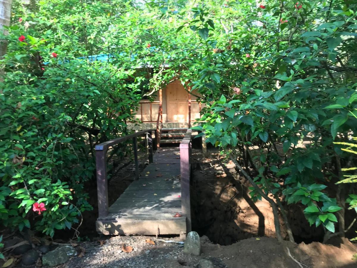 Sierpe Sabalo Lodge Tours And Cabins מראה חיצוני תמונה