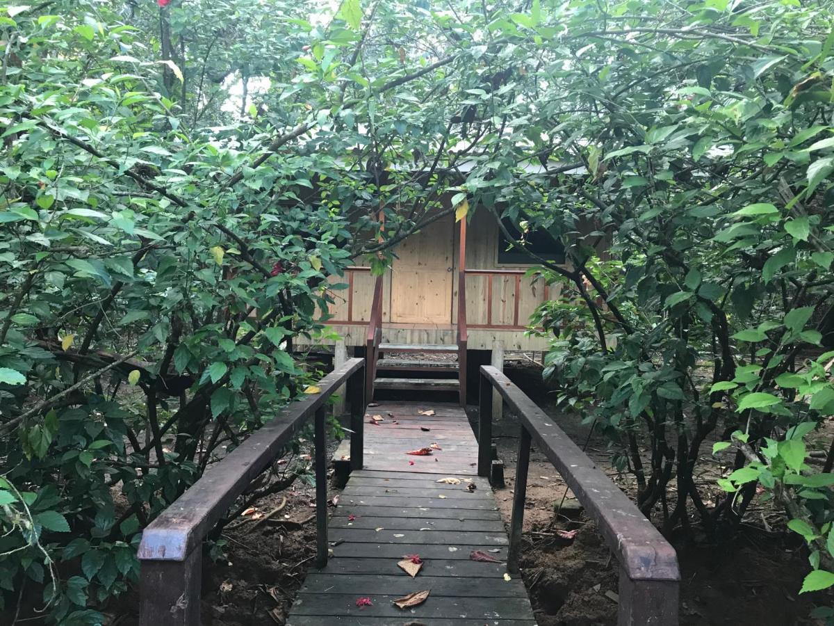 Sierpe Sabalo Lodge Tours And Cabins מראה חיצוני תמונה