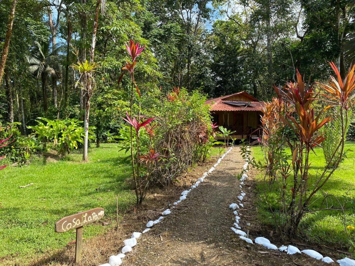 Sierpe Sabalo Lodge Tours And Cabins מראה חיצוני תמונה