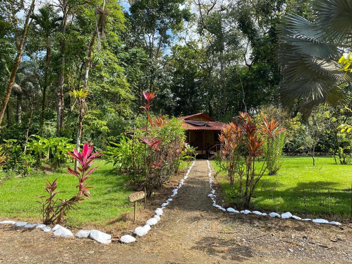 Sierpe Sabalo Lodge Tours And Cabins מראה חיצוני תמונה