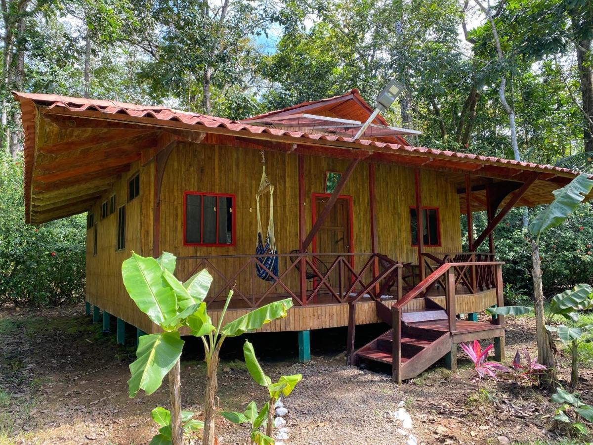 Sierpe Sabalo Lodge Tours And Cabins מראה חיצוני תמונה