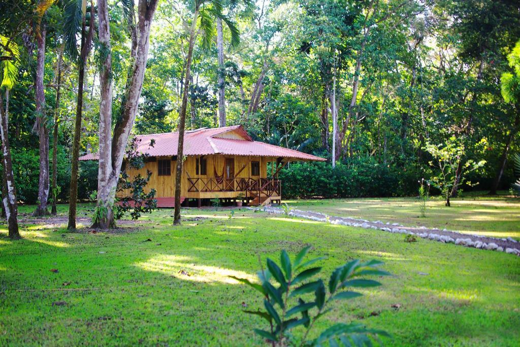 Sierpe Sabalo Lodge Tours And Cabins חדר תמונה