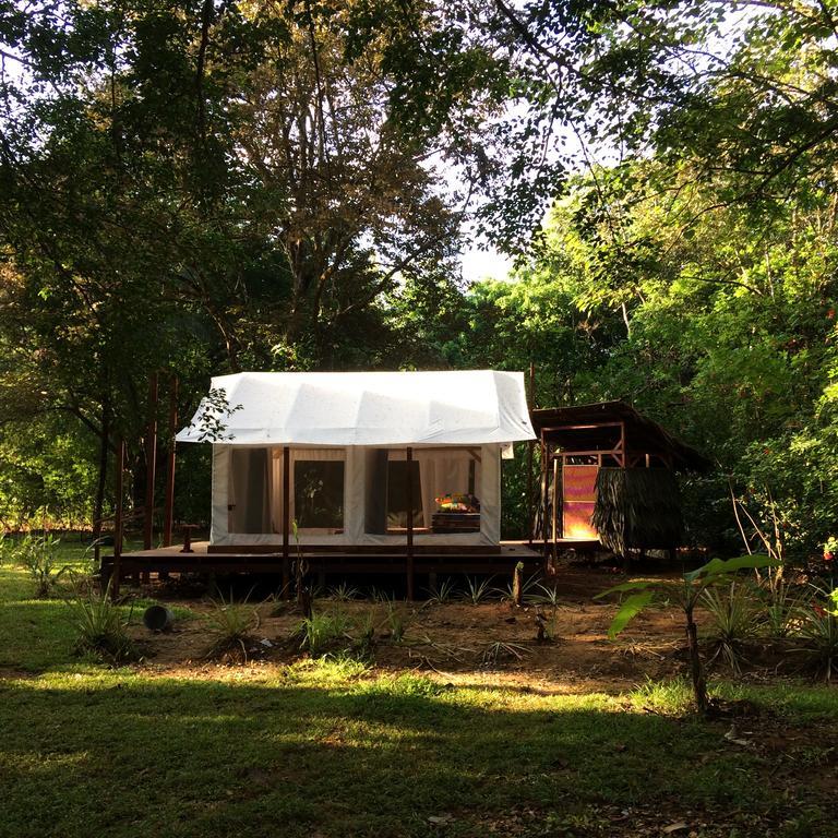 Sierpe Sabalo Lodge Tours And Cabins מראה חיצוני תמונה