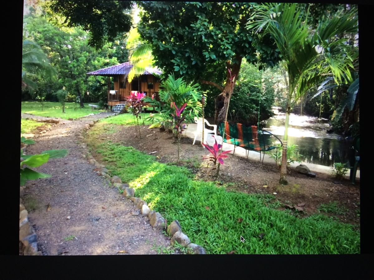 Sierpe Sabalo Lodge Tours And Cabins מראה חיצוני תמונה